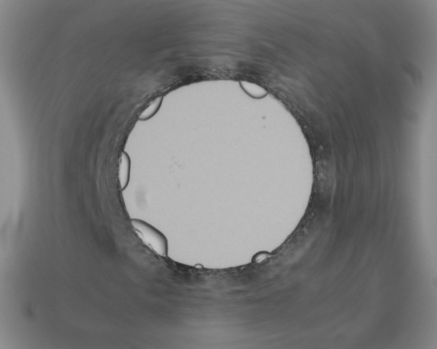 X0000112771057200910011232