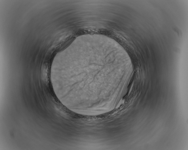 X0000112771060200910011232