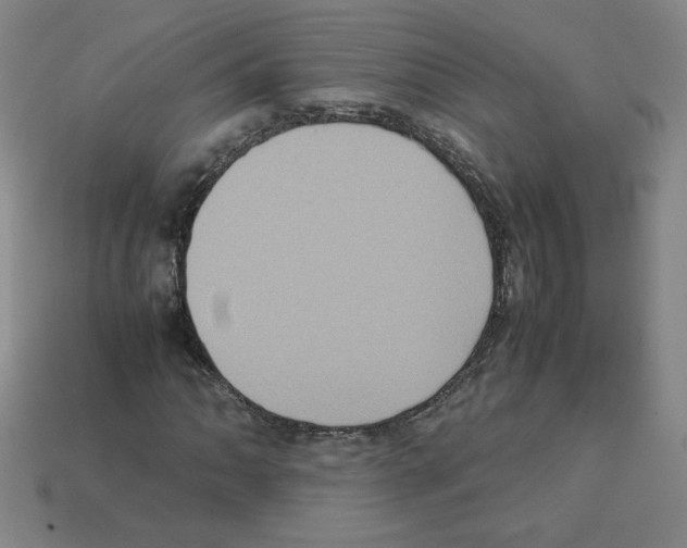 X0000112771062200910011231