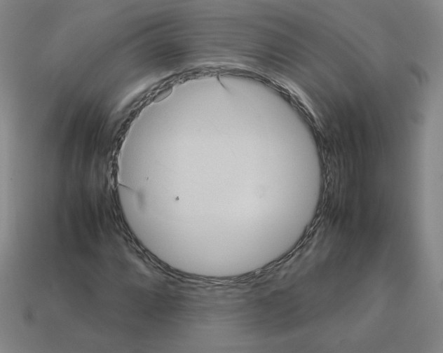 X0000112771064200910011231