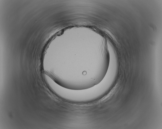 X0000112771065200910011231