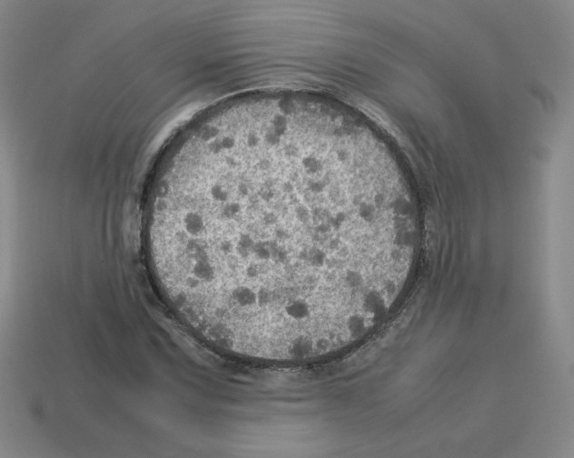 X0000112771067200910011231