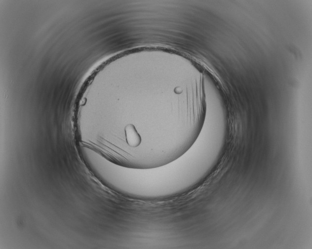 X0000112771068200910011231