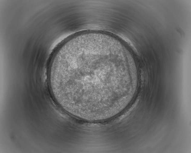 X0000112771070200910011231