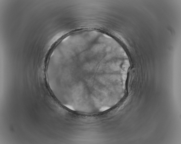 X0000112771071200910011231