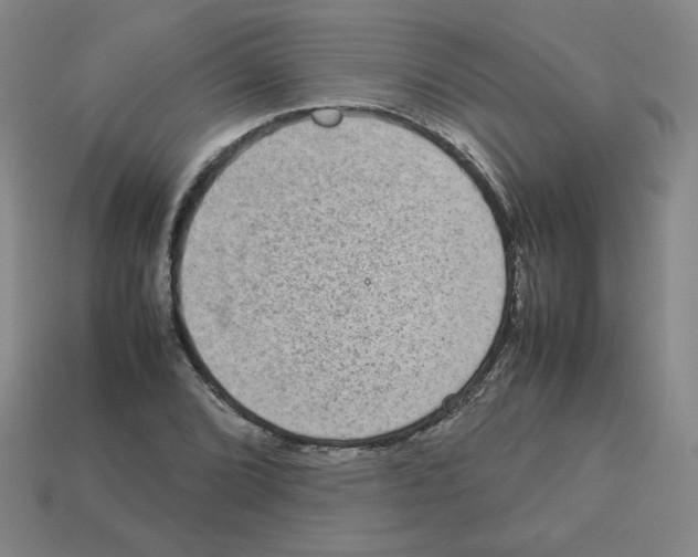 X0000112771072200910011231