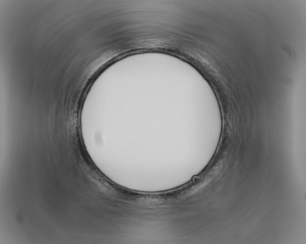 X0000112771073200910011231