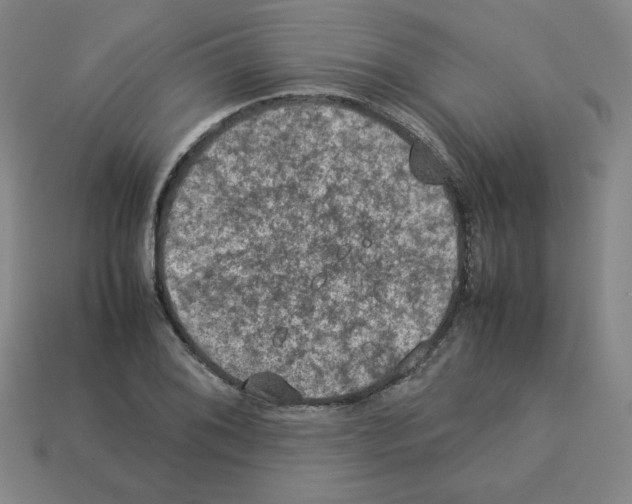 X0000112771076200910011231