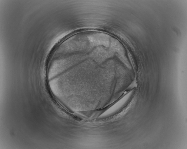 X0000112771077200910011231