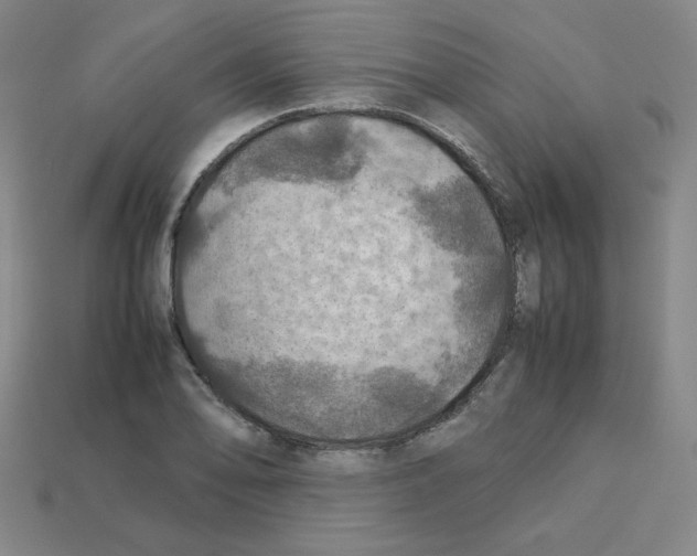 X0000112771078200910011231