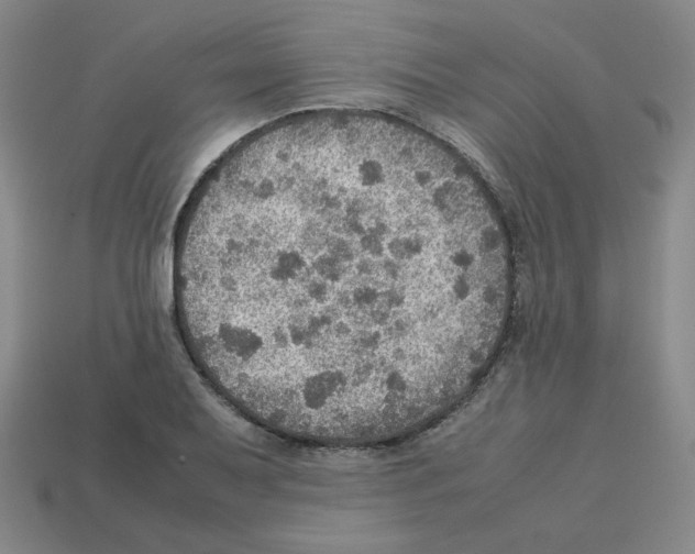 X0000112771079200910011231