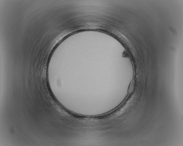 X0000112771081200910011231