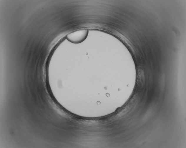 X0000112771082200910011231