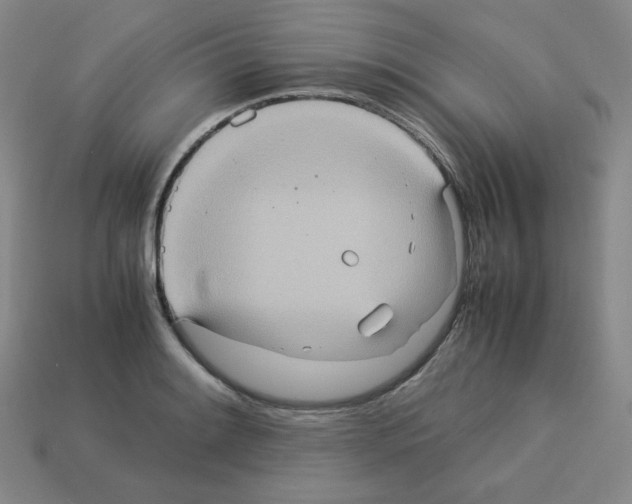 X0000112771084200910011231