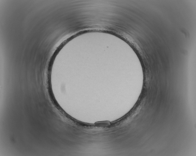 X0000112771085200910011231