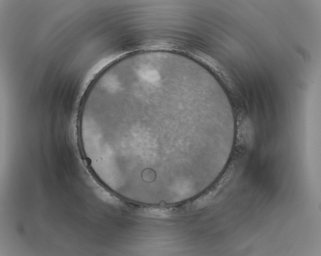 X0000112771086200910011231