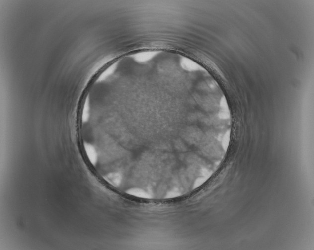 X0000112771087200910011231