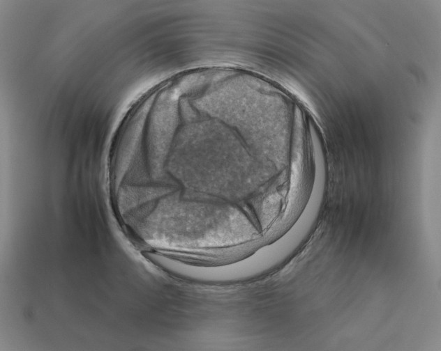 X0000112771088200910011231