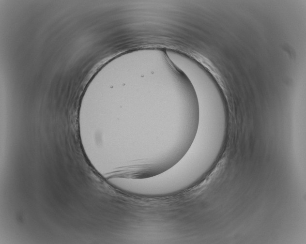 X0000112771089200910011231