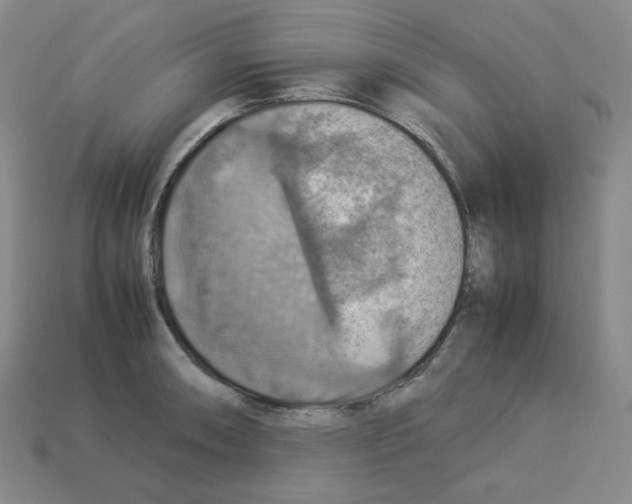 X0000112771090200910011231