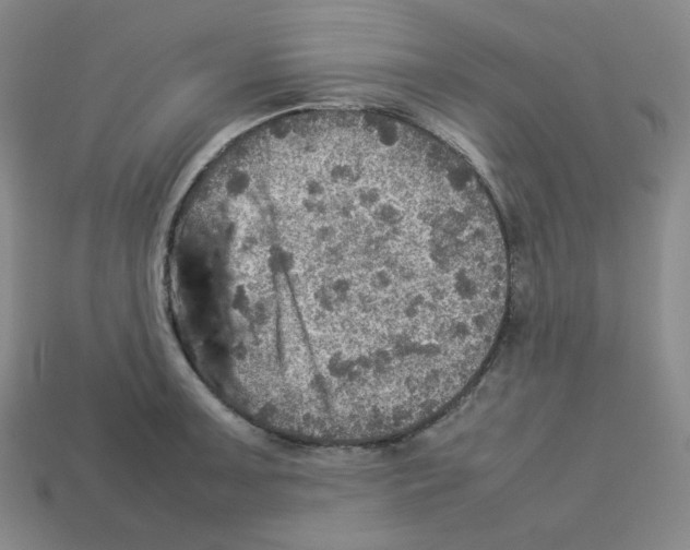 X0000112771091200910011231