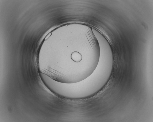 X0000112771092200910011231