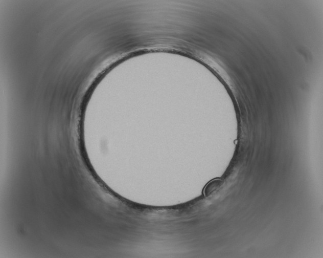 X0000112771093200910011231