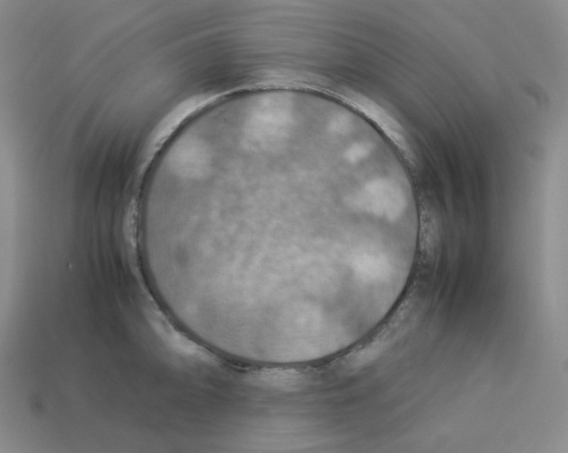 X0000112771094200910011231