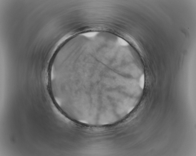 X0000112771095200910011231