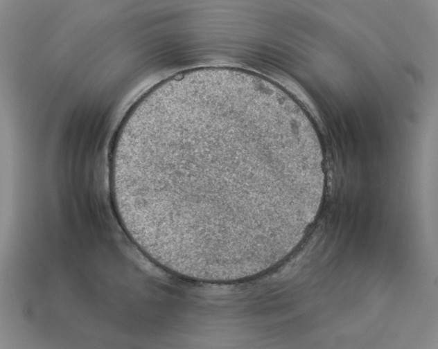 X0000112771096200910011231