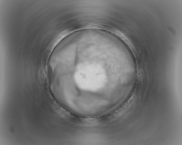 X0000112771097200910011231