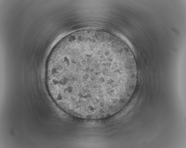 X0000112771099200910011231