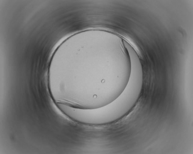 X0000112771100200910011231