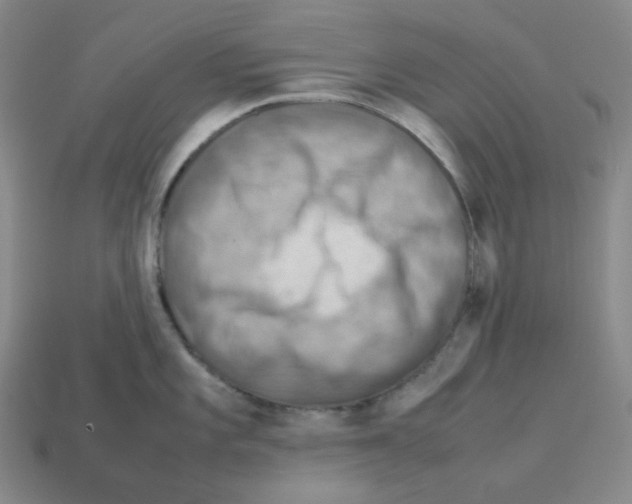 X0000112771101200910011231