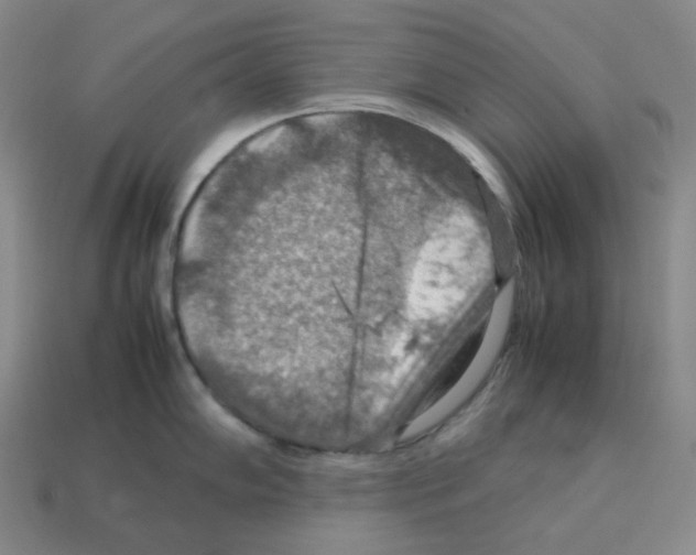 X0000112771102200910011231