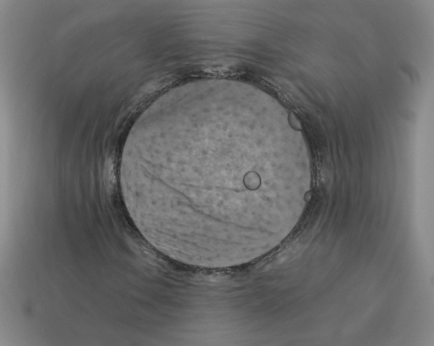 X0000112771106200910011230