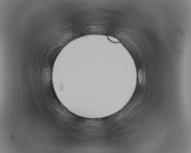 X0000112771107200910011230