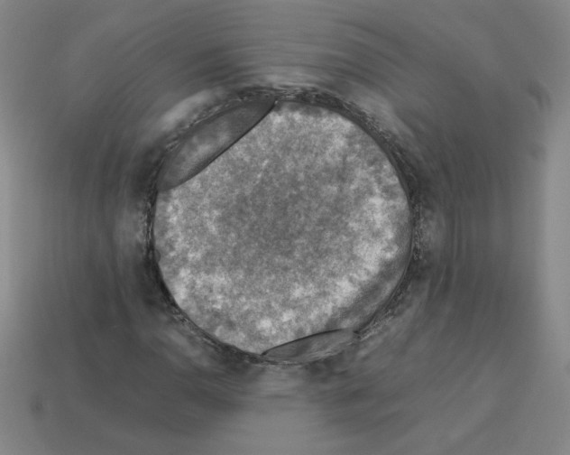 X0000112771110200910011230