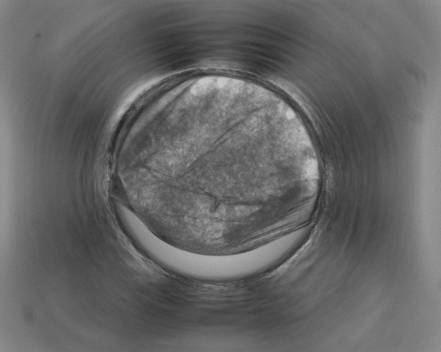 X0000112771115200910011230