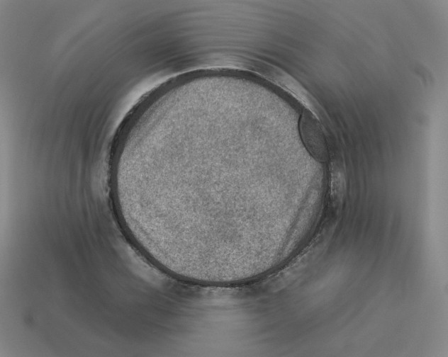 X0000112771116200910011230