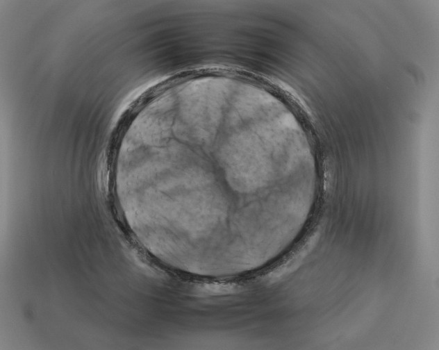 X0000112771117200910011230