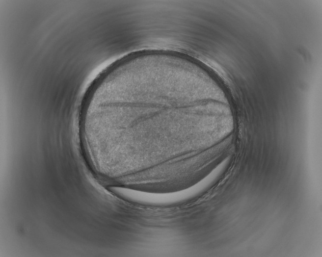 X0000112771120200910011231