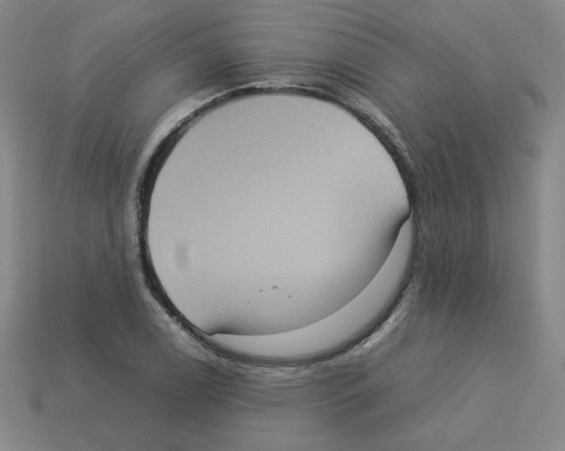 X0000112771122200910011231