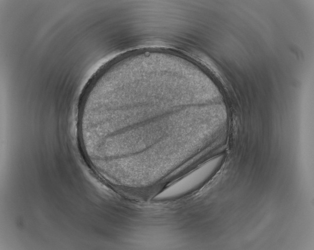 X0000112771124200910011231