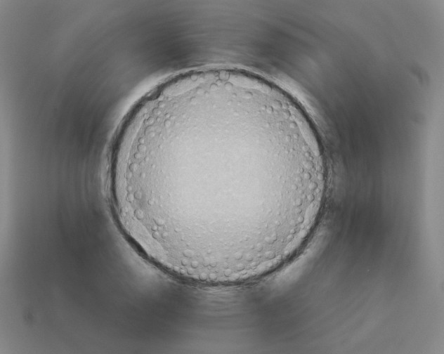 X0000112771126200910011231