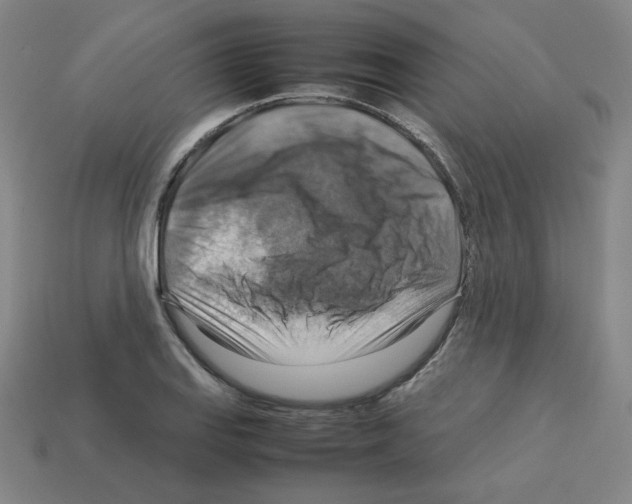 X0000112771127200910011231