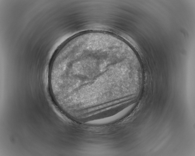 X0000112771128200910011231