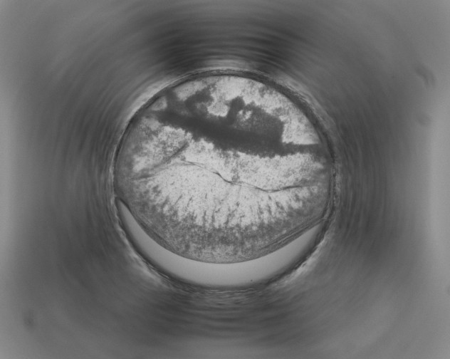 X0000112771129200910011231