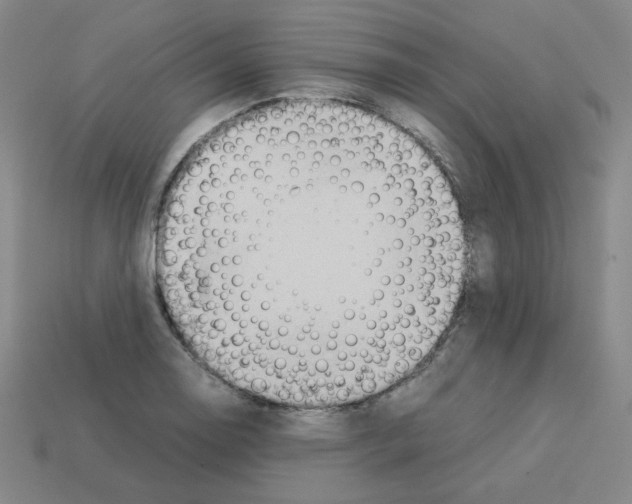 X0000112771130200910011231