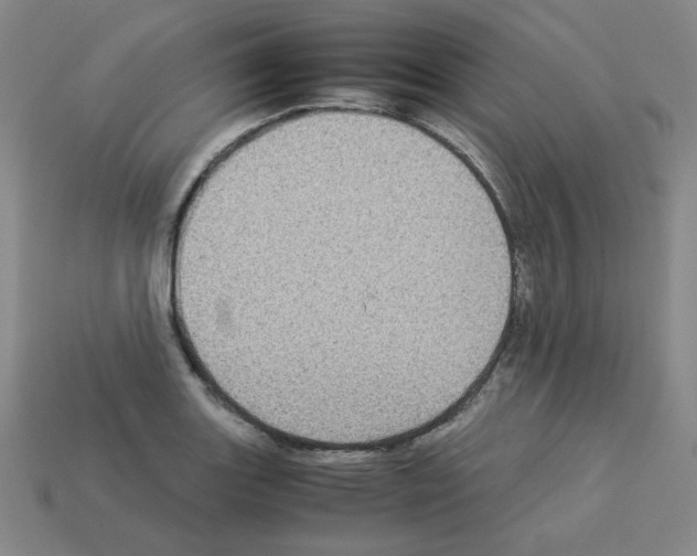 X0000112771131200910011231